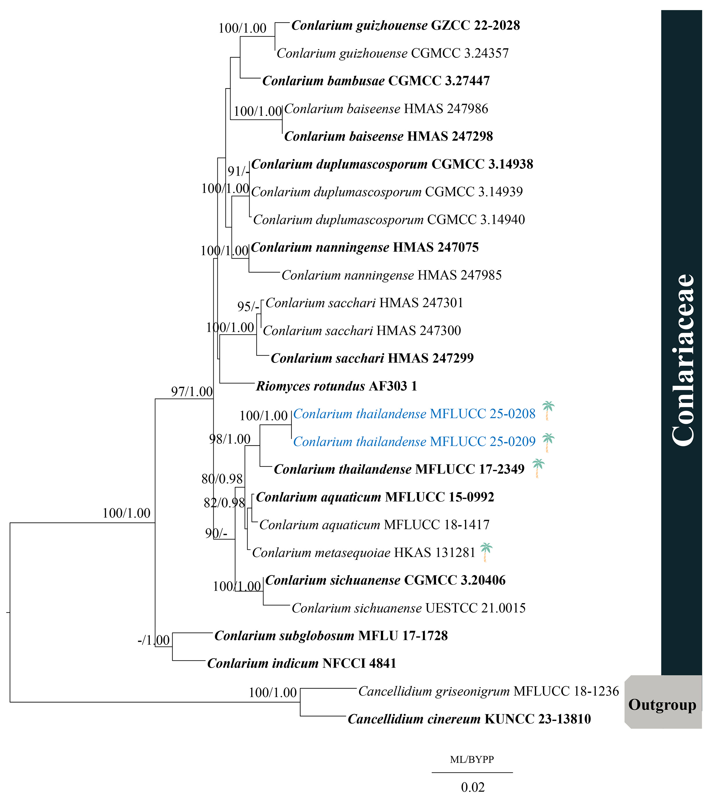 Figure 78